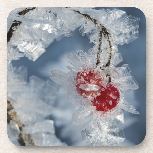 Eisberries Untersetzer (Vorderseite)