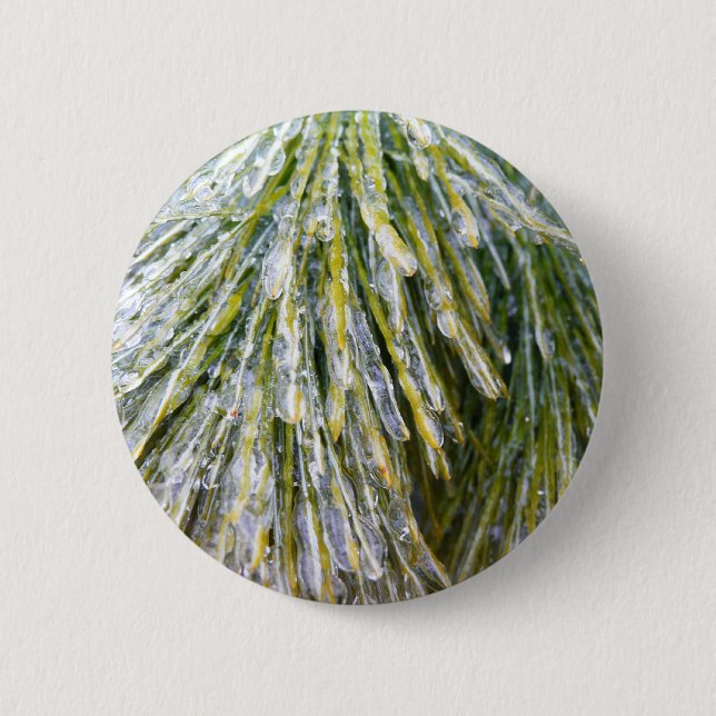 Eisbeschichtete Kiefernneedles Winter Botanisch Button (Vorderseite)