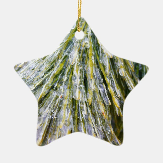 Eisbeschichtete Kiefernneedles Winter Botanisch Keramikornament (Vorne)
