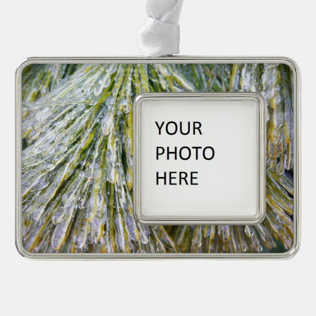 Eisbeschichtete Kiefernneedles Winter Botanisch Rahmen-Ornament Silber (Vorderseite)