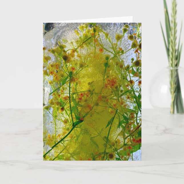 Eisblüten, Karte (Vorderseite)