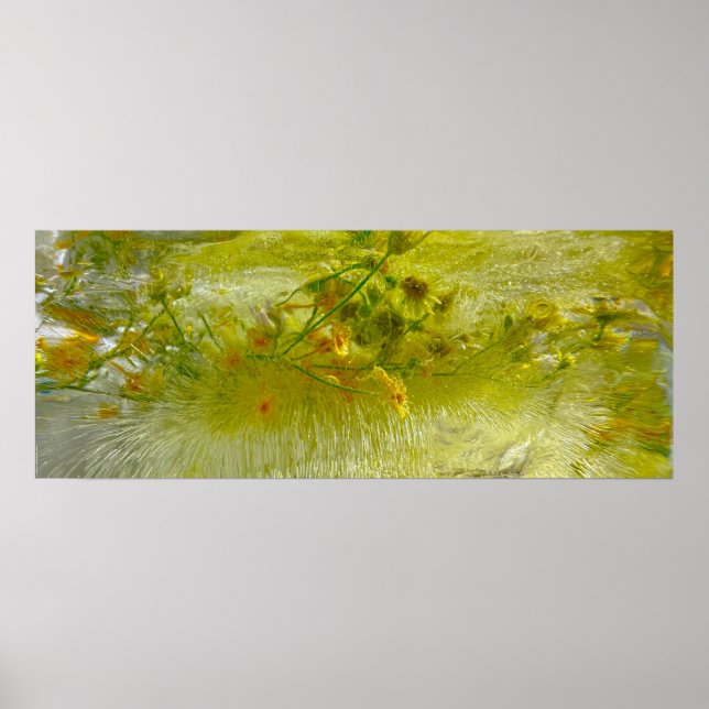 Eisblüten, Poster (Vorne)