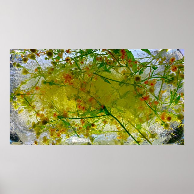 Eisblüten, Poster (Vorne)