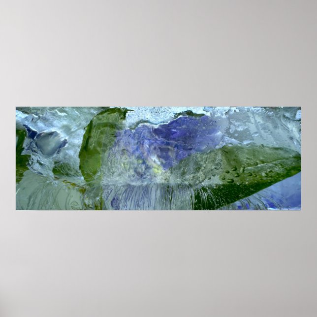 Eisblüten, Poster (Vorne)