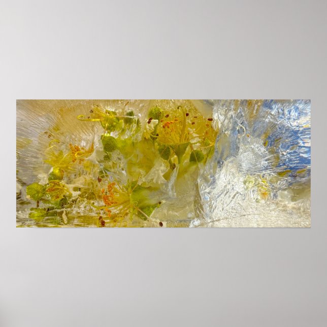 Eisblüten Poster (Vorne)