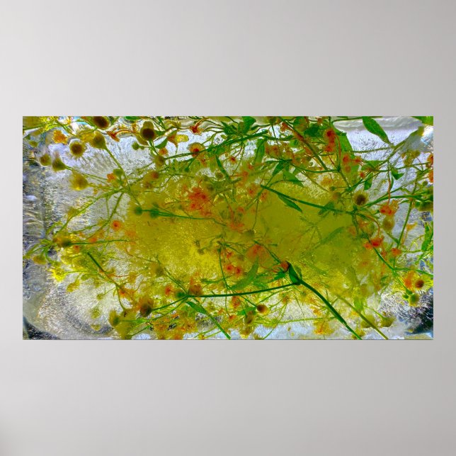 Eisblüten, Poster (Vorne)