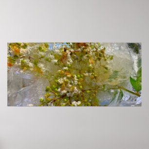 Eisblüten, Poster