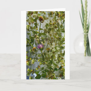 Eisdicken und Kleber, Karte