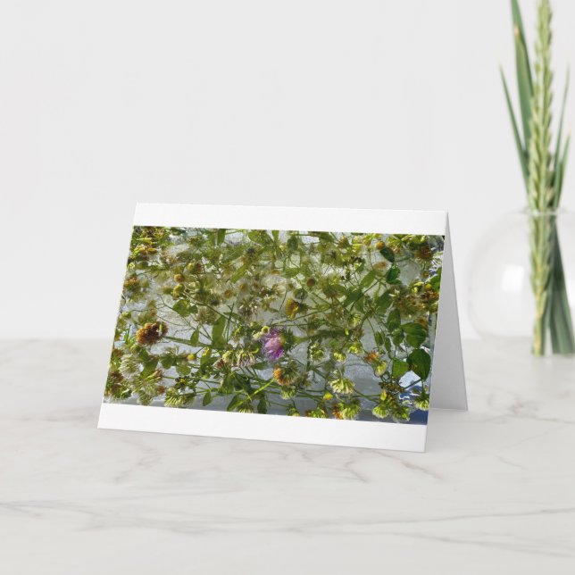 Eisdicken und Kleber, Karte (Vorderseite)