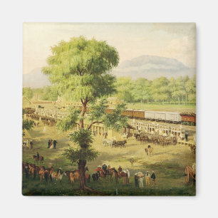 Eisenbahn im Tal von Mexiko, 1869 Magnet