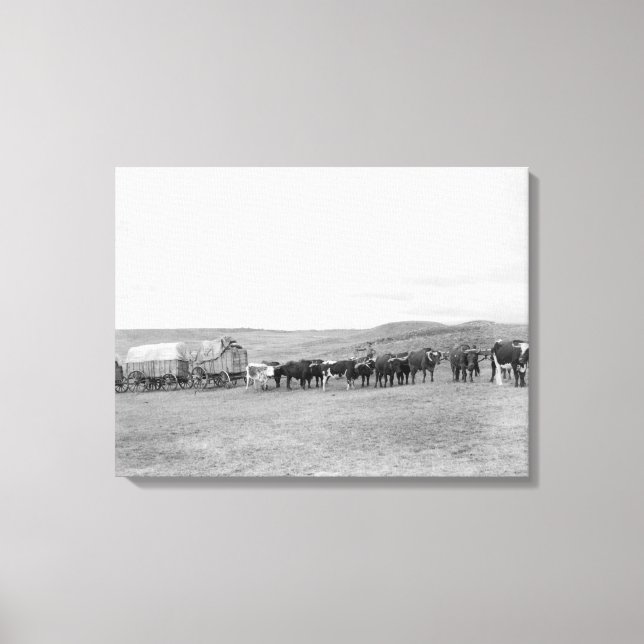 Eisenbahn in Oxen und Wagen, die für die Black Hil Leinwanddruck (Vorderseite)