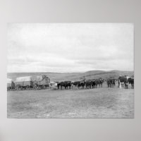Eisenbahn in Oxen und Wagen, die für die Black Hil