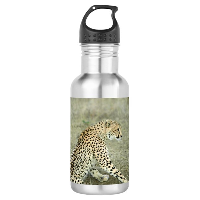 EISENBAHNWASSERFLASCHE TRINKFLASCHE (Vorderseite)