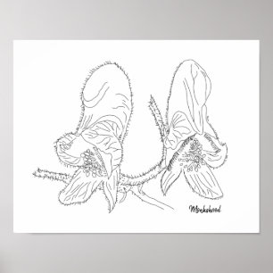 Eisenhut-Illustration Poster