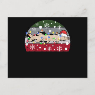 Eisfischen Muskie Weihnachten Musky Lustig Santa Postkarte