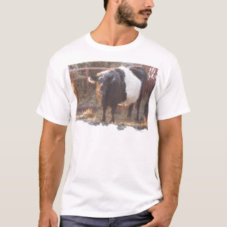 Eisige umgeschnallte Galloway-Kuh T-Shirt