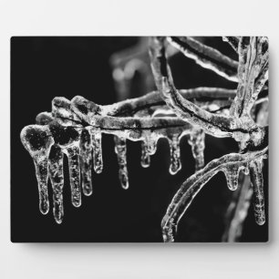 eisiger Winter eintreten Fotoplatte