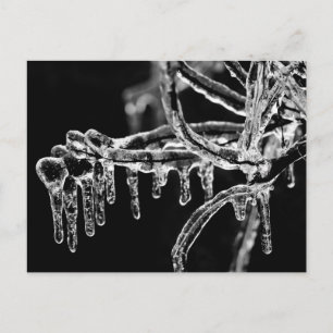 eisiger Winter eintreten Postkarte