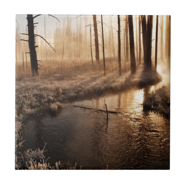 Eisiger Yellowstone-Morgen Fliese (Vorderseite)