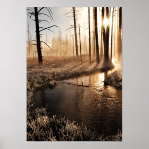 Eisiger Yellowstone-Morgen Poster