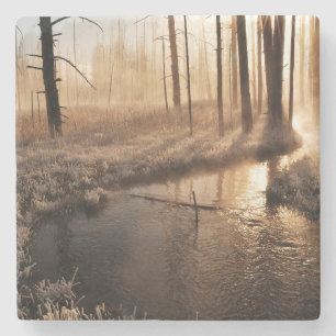 Eisiger Yellowstone-Morgen Steinuntersetzer