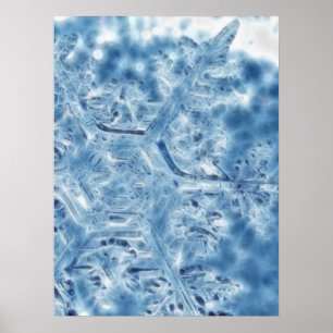 Eiskristall Fraktal Snowflake Poster