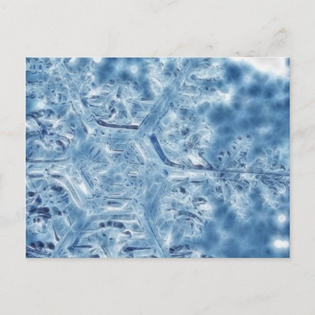 Eiskristall Fraktal Snowflake Postkarte (Vorderseite)