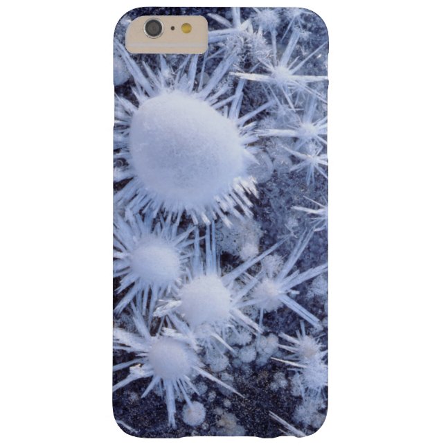 Eiskristalle in der Sierra Case-Mate iPhone Hülle (Rückseite)