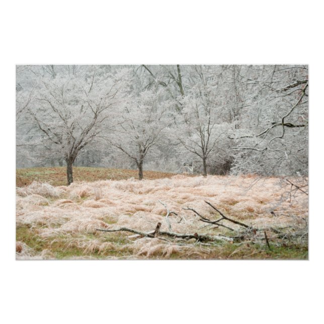 Eissturm Rural Tennessee - Landschaftliches Foto Poster (Vorderseite)