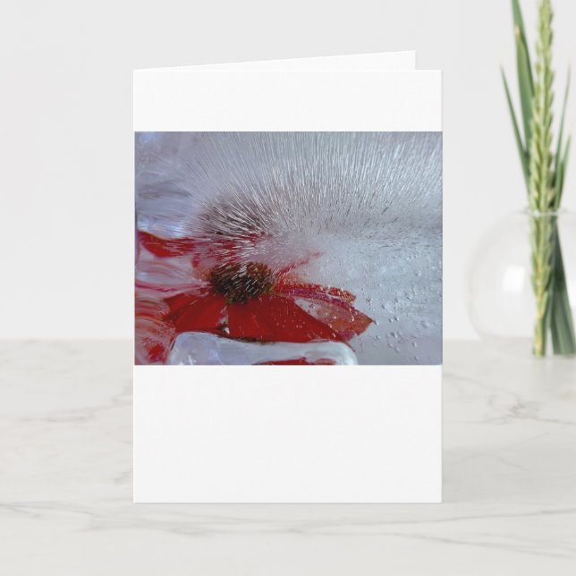 Eisverkleidung, Karte (Vorderseite)