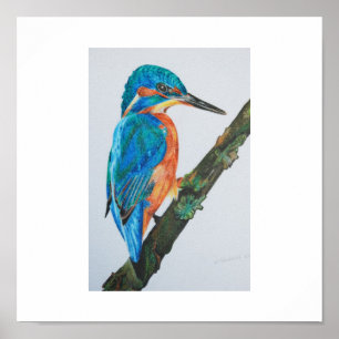 Eisvogel-Druck - wählen Sie Ihr Papier und Rahmen! Poster