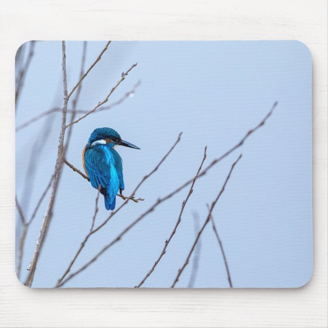 Eisvogel im Ansitz Mousepad (Vorne)
