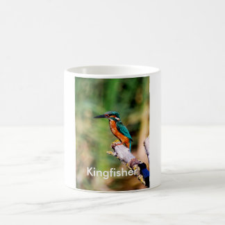 Eisvogel Kaffeetasse
