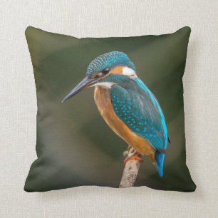 Eisvogel Kissen