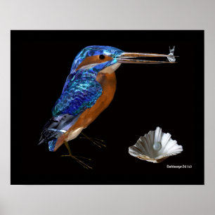 EISVOGEL POSTER