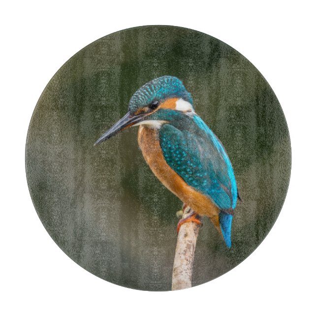 Eisvogel Schneidebrett (Vorderseite)