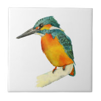 Eisvogel-Vogel-orange und grünes Aquarell