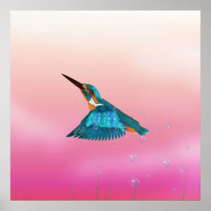 Eisvogel Vogel Poster