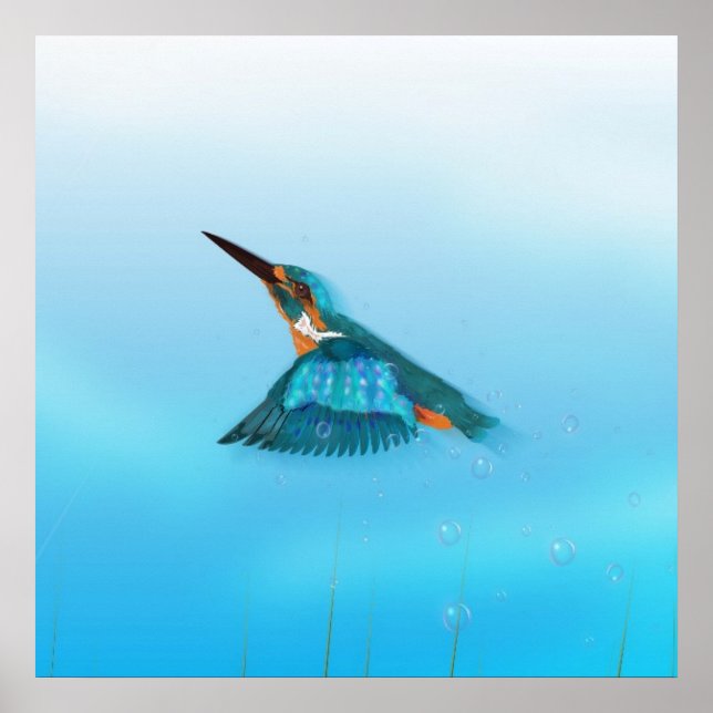 Eisvogel Vogel Poster (Vorne)