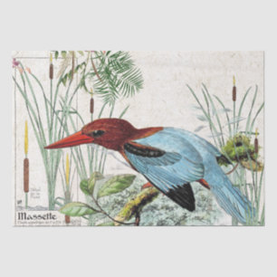 Eisvogel-Vogelcattail-Teich-Tier-Seidenpapier Seidenpapier