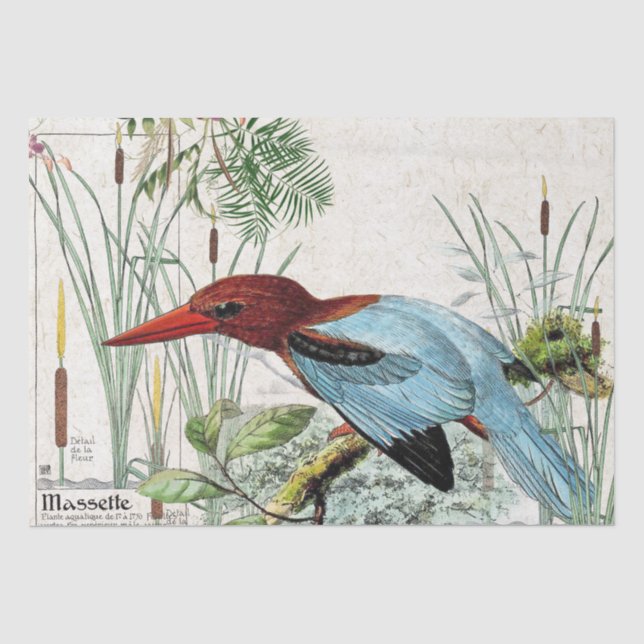 Eisvogel-Vogelcattail-Teich-Tier-Seidenpapier Seidenpapier (Vorderseite)