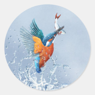 Eisvogelfliegen aus dem Wasser heraus Runder Aufkleber
