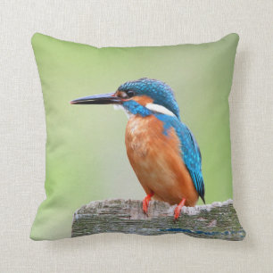 Eisvogelvogel Kissen