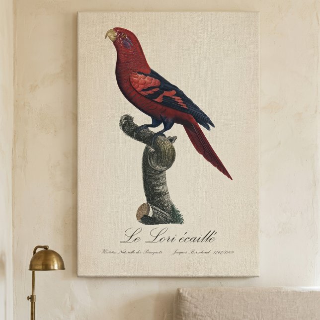 Ekaille von Le Lori Leinwanddruck (Blue-Streaked Lory, Trichoglossus reticulatus. Canvas Print)
