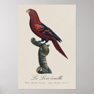 Ekaille von Le Lori Poster