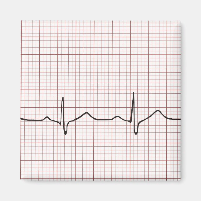 EKG Herzschlag auf Graphen Papier, Puls PhD (Arzt) Magnet (Vorne)