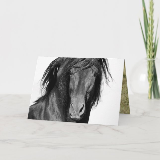 El Caballo Negro Horse Greeting Card Karte (Vorderseite)