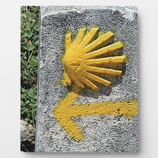 El Camino de Santiago de Compostela, Spanien, Musc Fotoplatte (Vorderseite)