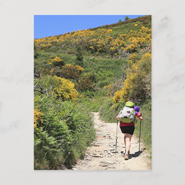 El Camino, Molinaseca bis O'Cebreiro, Spanien Postkarte (Vorderseite)