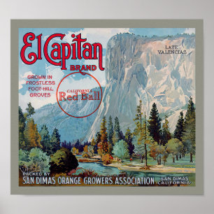 El Capitan Marke San Dimas Orangen Frucht Etikett Poster
